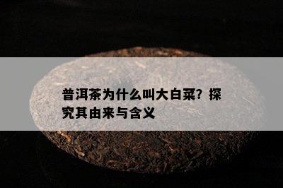 普洱茶为什么叫大白菜？探究其由来与含义