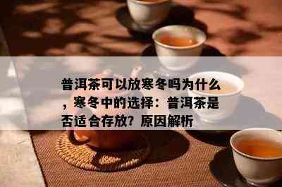 普洱茶可以放寒冬吗为什么，寒冬中的选择：普洱茶是否适合存放？原因解析