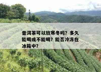 普洱茶可以放寒冬吗？多久能喝或不能喝？能否冷冻在冰箱中？