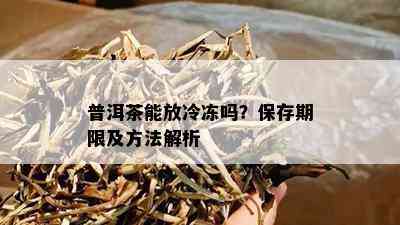 普洱茶能放冷冻吗？保存期限及方法解析