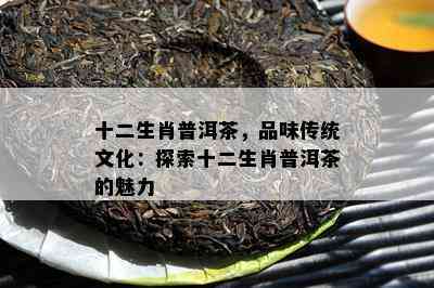 十二生肖普洱茶，品味传统文化：探索十二生肖普洱茶的魅力