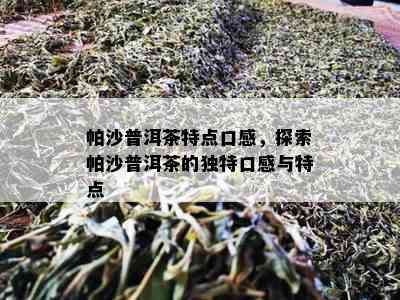 帕沙普洱茶特点口感，探索帕沙普洱茶的独特口感与特点