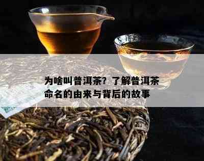 为啥叫普洱茶？了解普洱茶命名的由来与背后的故事