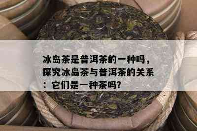 冰岛茶是普洱茶的一种吗，探究冰岛茶与普洱茶的关系：它们是一种茶吗？