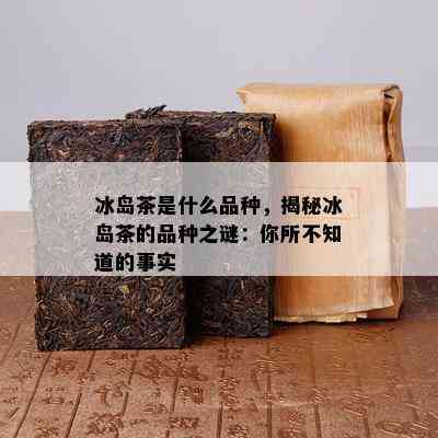 冰岛茶是什么品种，揭秘冰岛茶的品种之谜：你所不知道的事实