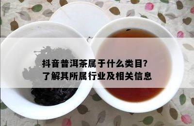 抖音普洱茶属于什么类目？了解其所属行业及相关信息