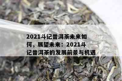 2021斗记普洱茶未来如何，展望未来：2021斗记普洱茶的发展前景与机遇