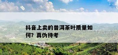 抖音上卖的普洱茶叶质量如何？真伪待考