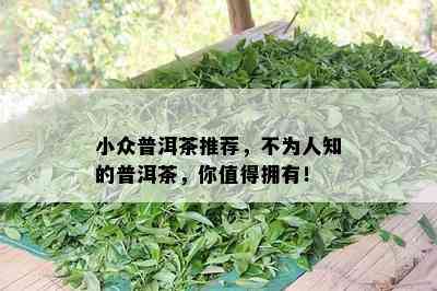 小众普洱茶推荐，不为人知的普洱茶，你值得拥有！