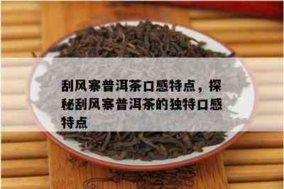 刮风寨普洱茶口感特点，探秘刮风寨普洱茶的独特口感特点