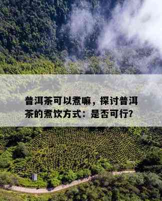 普洱茶可以煮嘛，探讨普洱茶的煮饮方式：是否可行？