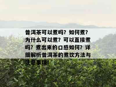 普洱茶可以煮吗？如何煮？为什么可以煮？可以直接煮吗？煮出来的口感如何？详细解析普洱茶的煮饮方法与注意事项！