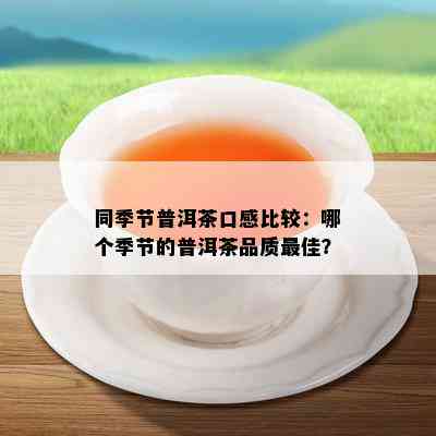 同季节普洱茶口感比较：哪个季节的普洱茶品质更佳？