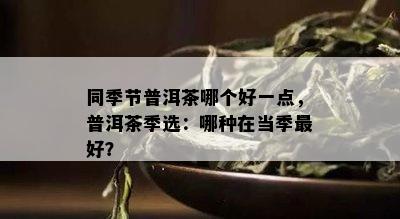 同季节普洱茶哪个好一点，普洱茶季选：哪种在当季更好？