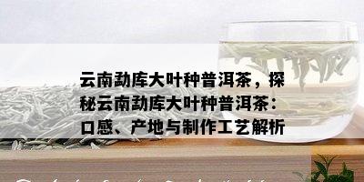 云南勐库大叶种普洱茶，探秘云南勐库大叶种普洱茶：口感、产地与制作工艺解析