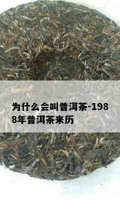 为什么会叫普洱茶-1988年普洱茶来历