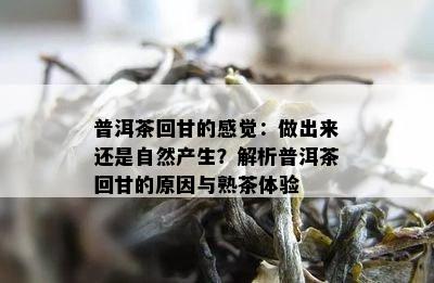 普洱茶回甘的感觉：做出来还是自然产生？解析普洱茶回甘的原因与熟茶体验