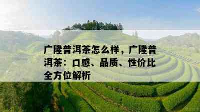 广隆普洱茶怎么样，广隆普洱茶：口感、品质、性价比全方位解析