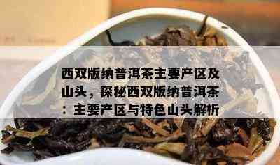 西双版纳普洱茶主要产区及山头，探秘西双版纳普洱茶：主要产区与特色山头解析