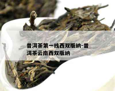 普洱茶之一线西双版纳-普洱茶云南西双版纳