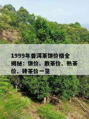 1999年普洱茶饼价格全揭秘：饼价、散茶价、熟茶价、砖茶价一览