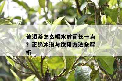 普洱茶怎么喝水时间长一点？正确冲泡与饮用方法全解析