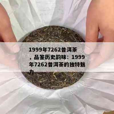 1999年7262普洱茶，品鉴历史韵味：1999年7262普洱茶的独特魅力