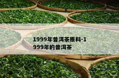 1999年普洱茶原料-1999年的普洱茶