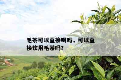 毛茶可以直接喝吗，可以直接饮用毛茶吗？