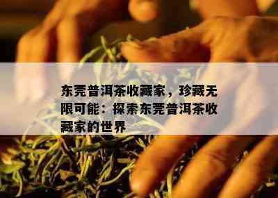 东莞普洱茶收藏家，珍藏无限可能：探索东莞普洱茶收藏家的世界