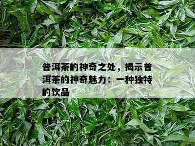 普洱茶的神奇之处，揭示普洱茶的神奇魅力：一种独特的饮品