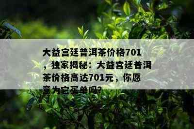 大益宫廷普洱茶价格701，独家揭秘：大益宫廷普洱茶价格高达701元，你愿意为它买单吗？