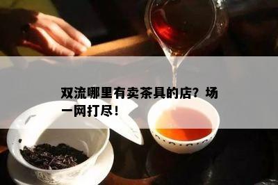 双流哪里有卖茶具的店？场一网打尽！