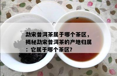 勐宋普洱茶属于哪个茶区，揭秘勐宋普洱茶的产地归属：它属于哪个茶区？