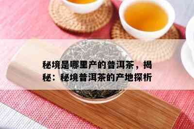 秘境是哪里产的普洱茶，揭秘：秘境普洱茶的产地探析