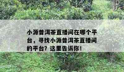 小源普洱茶直播间在哪个平台，寻找小源普洱茶直播间的平台？这里告诉你！