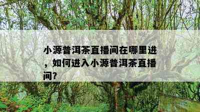 小源普洱茶直播间在哪里进，如何进入小源普洱茶直播间？