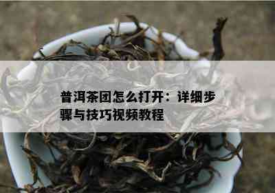 普洱茶团怎么打开：详细步骤与技巧视频教程