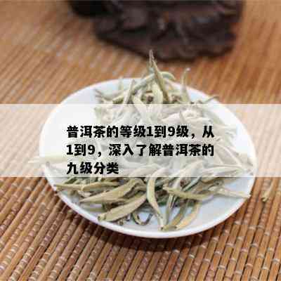 普洱茶的等级1到9级，从1到9，深入了解普洱茶的九级分类