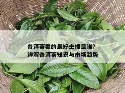 普洱茶卖的更好主播是谁？详解普洱茶知识与市场趋势