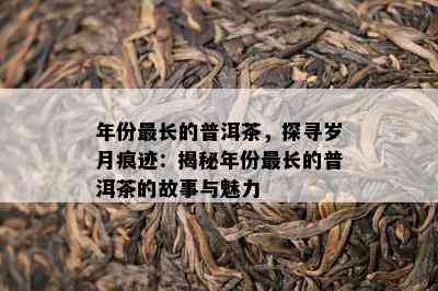 年份最长的普洱茶，探寻岁月痕迹：揭秘年份最长的普洱茶的故事与魅力