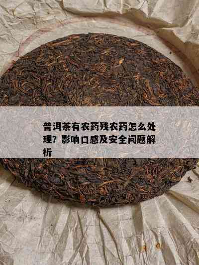 普洱茶有农残农怎么处理？影响口感及安全问题解析