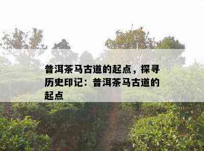 普洱茶马古道的起点，探寻历史印记：普洱茶马古道的起点