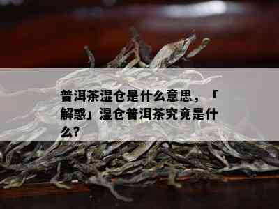 普洱茶湿仓是什么意思，「解惑」湿仓普洱茶究竟是什么？