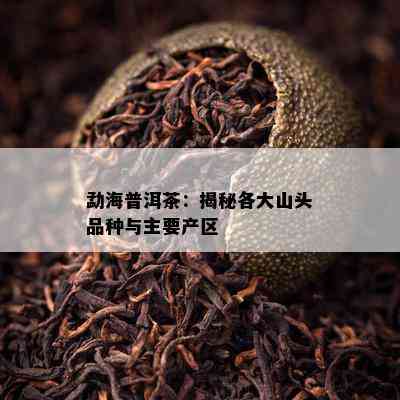 勐海普洱茶：揭秘各大山头品种与主要产区