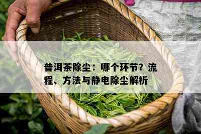 普洱茶除尘：哪个环节？流程、方法与静电除尘解析