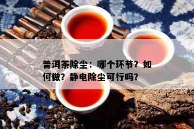 普洱茶除尘：哪个环节？如何做？静电除尘可行吗？