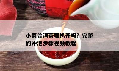 小菊普洱茶要扒开吗？完整的冲泡步骤视频教程