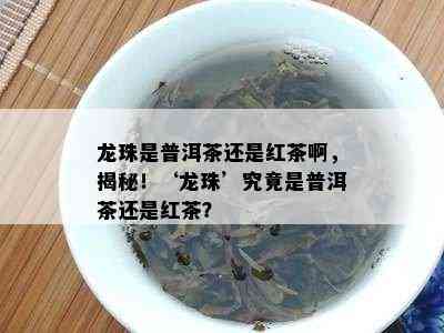 龙珠是普洱茶还是红茶啊，揭秘！‘龙珠’究竟是普洱茶还是红茶？