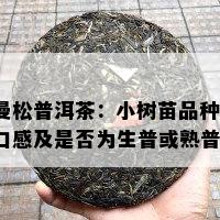 曼松普洱茶：小树苗品种、口感及是否为生普或熟普？